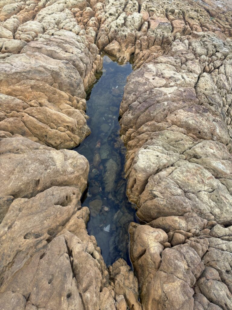 Wat Nederlandse loopbaanprofessionals kunnen leren van Amerikaans onderzoek naar upskilling